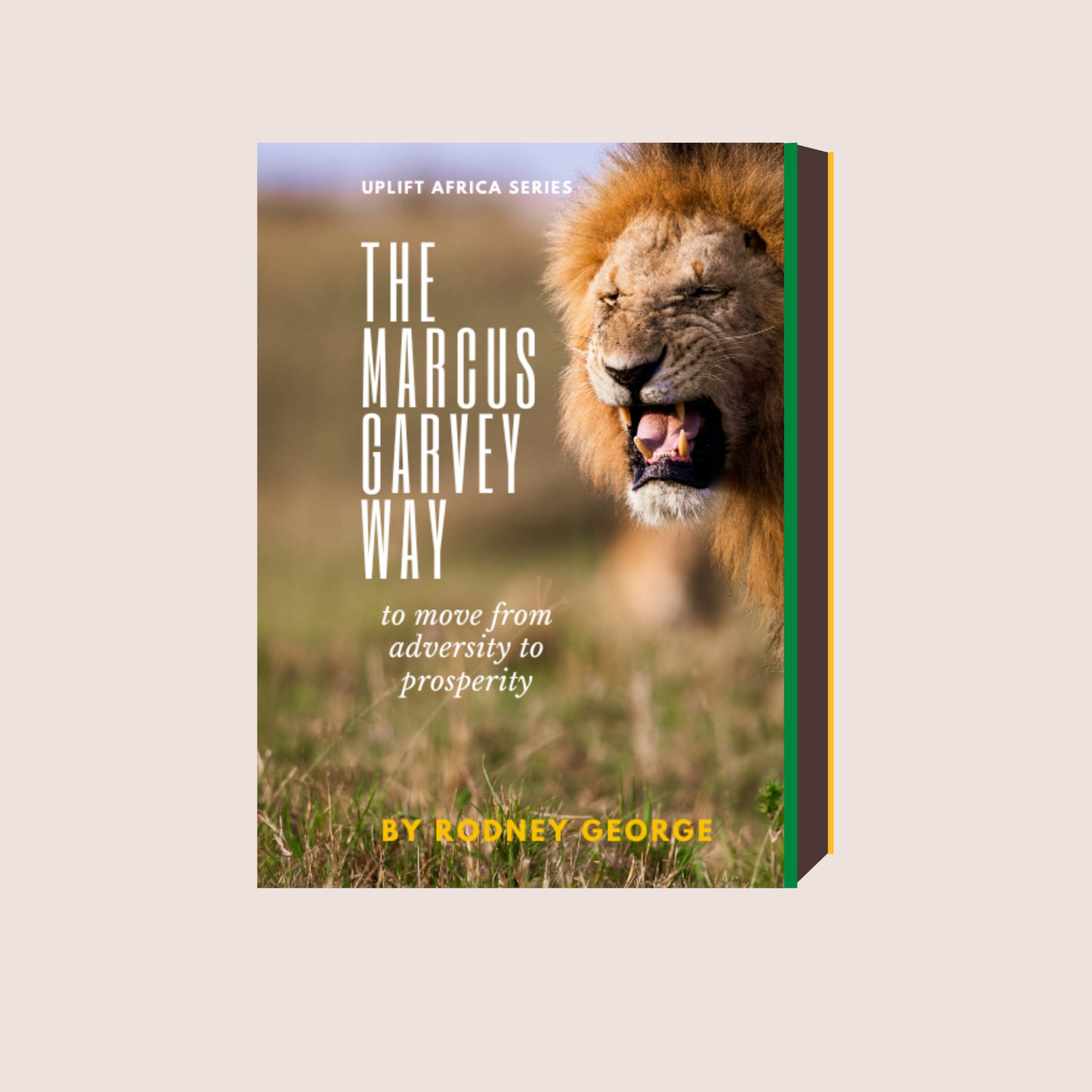 The Marcus Garvey Way  - To Move From Adversity To Prosperity